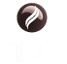 nfvb logo